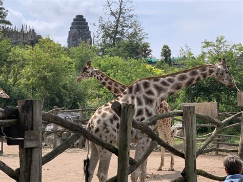 pairi daiza honden toegelaten|Les Mondes 